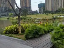 大学城 西城的湖(西城湖景)二房45万