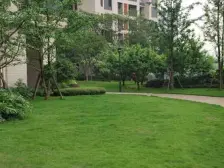 光电路 龙湖观山水三房158万