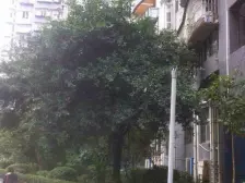 老城区 金山水岸华府一期A区三房30.9万