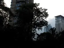 丰和新城一期 南北通透,采光好 装修好,环镜优美 近地铁 视野好,诚心出售