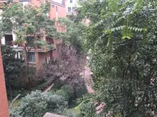 回兴 旭辉朗香郡四房155万