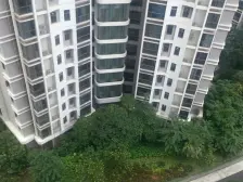 星河传说迪纳公寓 1室2厅 东