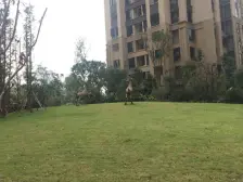 照母山 协信星都会(高层)二房94万