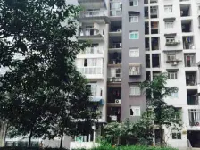 天星桥 梨树新居二房50万