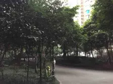 冉家坝 天一新城五房185万