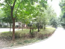 顶楼跃层,住家装修,拎包入住,玻璃大露台,视野开阔