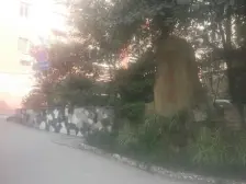 华佳苑 3室2厅 东南