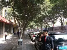 石桥铺 科园三街三房41万