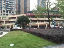 陈家坪 春风与湖四房190.5万