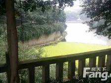 看过来,看过来,业主安心卖的很