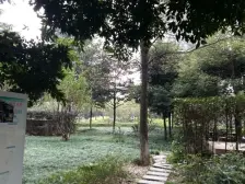 渝北西区永辉楼上住家装修两室诚心出售