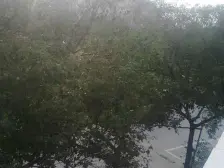 京东嘉苑 3室2厅 南