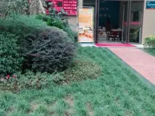 鸥鹏璧兰河1号 89平 56.8万价格可以谈