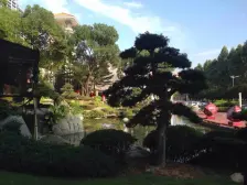 天骄峰景精装修4房 户型靓业主有心卖 看中可以谈