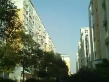 玉河明珠住宅 南北通透,采光好 装修好,环镜优美 视野好,诚心出售