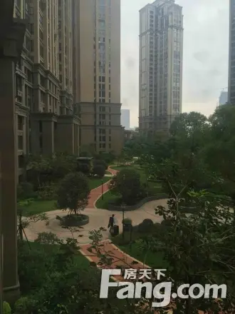 融侨外滩B区