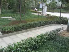 西区 盛景天下四房