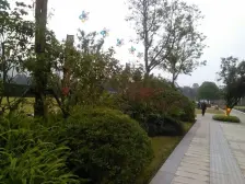 精装,户型方正,环境优美安心卖。