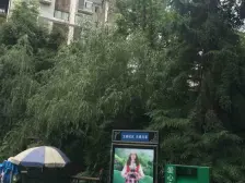 巴国城 巴国公馆三房150万