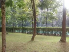 龙头寺 鲁能星城五街区三房180万