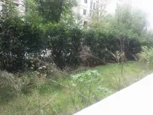 满五唯一,正规一居室,精装修,拎包入住