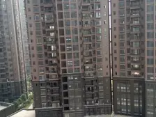 朝阳梅园 南北通透,采光好 视野好,诚心出售