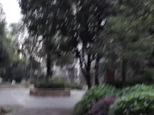 奥园复式楼 户型方正,南北通透,配套成熟