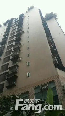 小龙坎正街