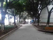 洋河片区 洋河花园三房120万