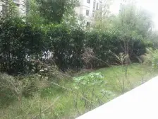 南航旁,品质小区联排别墅,精装500万,拎包入住