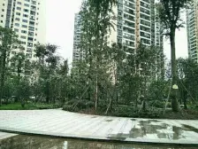 世贸广场 2室2厅 东北