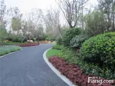 金科正规3房 全中庭 户型方正 业主诚心出售!