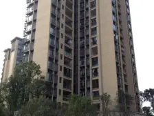 全中庭 住家装修标准两房 拎包入住