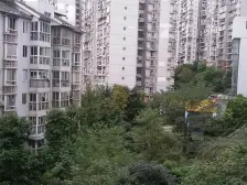 奔力乡间城 2室1厅 东南