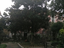 蒙山满五,户型正气,临百联,高区无遮挡,采光视野好