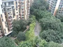 北滨路 朝东看江 视野好,看解放碑来福士