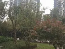 南滨路正看来福士 精装修拎包入住 视野开阔