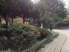 七星岗巴渝世家 跃层大阳台 出行便利 小区环境幽美