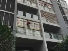 绿岛新区 锦春绿岛新都二房45.8万