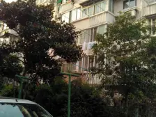 推窗见树,全明两房,50米到公园,近地铁2号和10号线