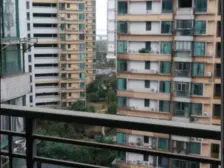 中间楼层,看小区园林,户型方正