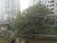 鱼洞 蔚蓝海天四房56.6万