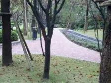 金科四组团精装两房 楼层好 采光好 直拎包入住