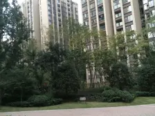 保利精装顶跃,带屋顶花园 业主诚心卖,采光好