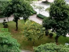 大环境大社区 交通生活便利 人车分流