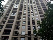 茶园新区 金科世界城(洋房)六房310万