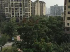 南方玫瑰城橙瑰苑 2室1厅 东南