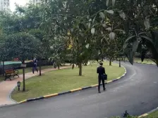 邱家湾轻轨站 楼下永辉 金科品质楼盘