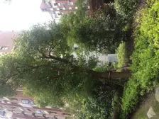 大复式四房,送大露台,使用面积高,大胆看房