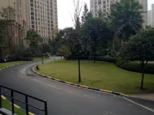 茶园新区 金科世界城(洋房)三房175万